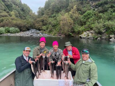 Brl+clients+with+sockeye