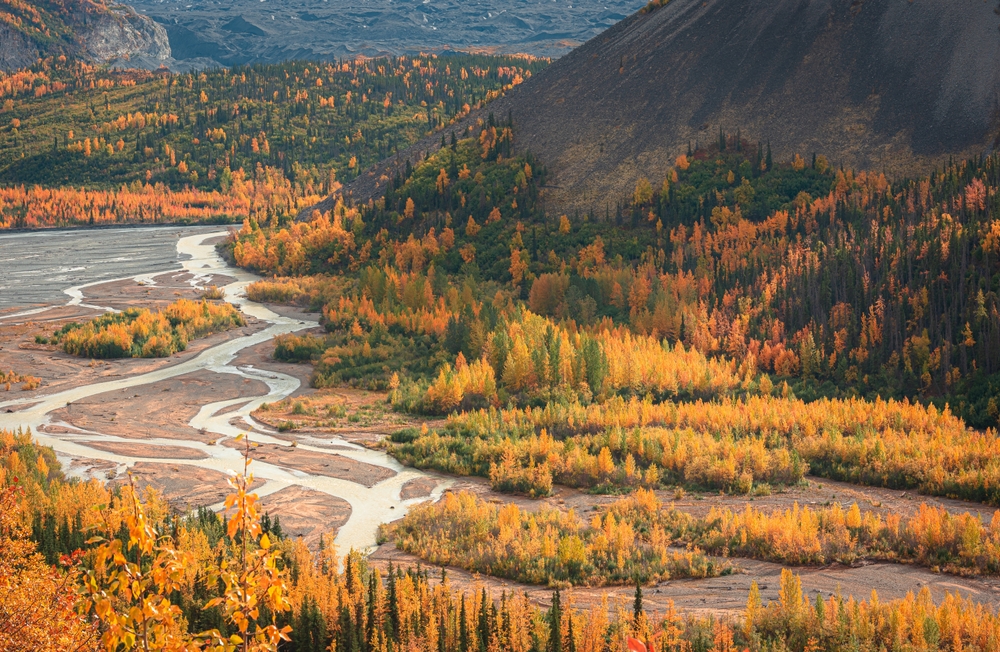 View,of,matanuska,river,from,highway,,,alaska,in,fall
