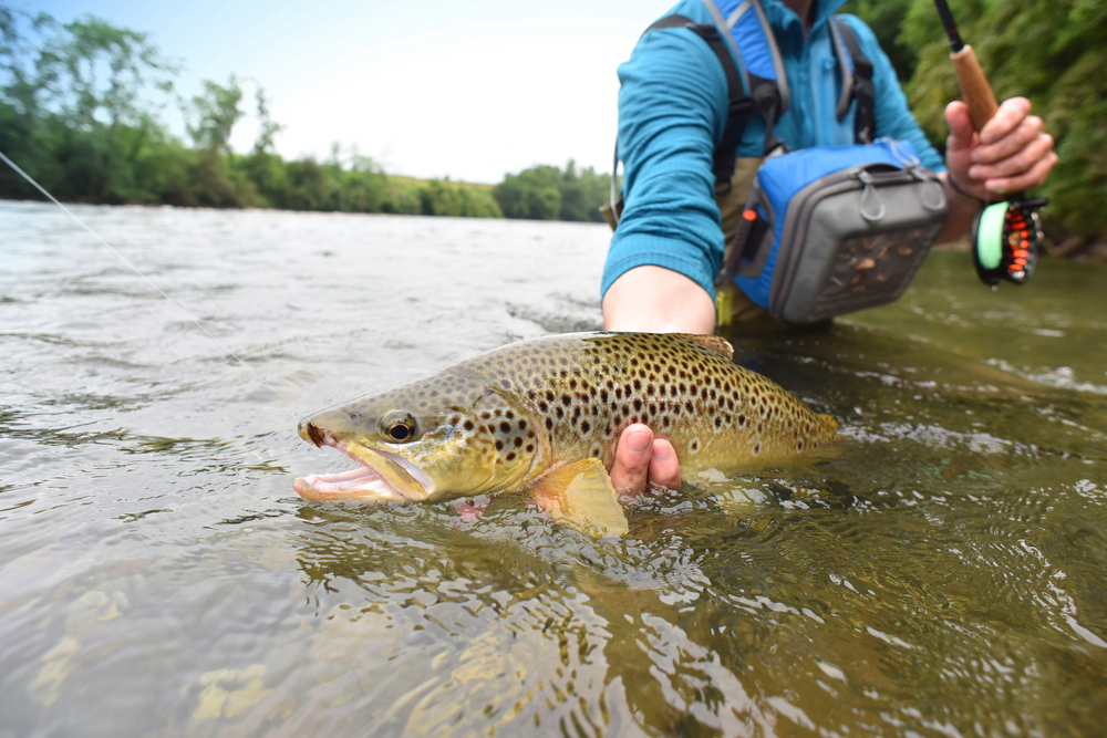 Water Conditions for Trout & Char in Alaska