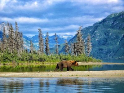 Bear Crescent Lake