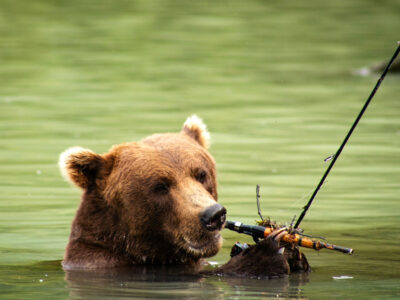 Bear Fishing Pole