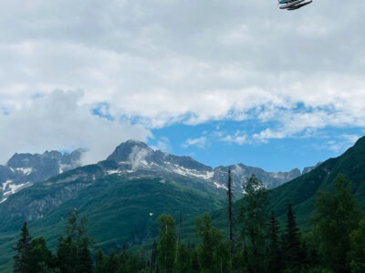 Flying Over Bear