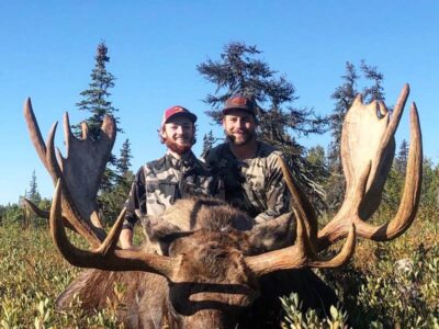 Moose Hunt Pic