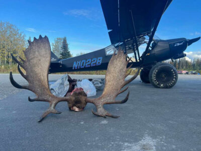 Plane And Antlers